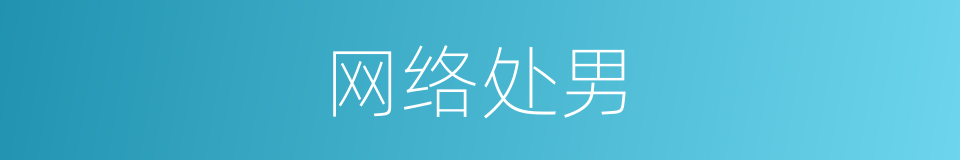 网络处男的同义词