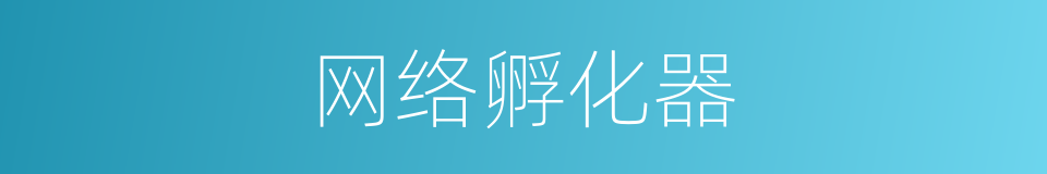 网络孵化器的同义词