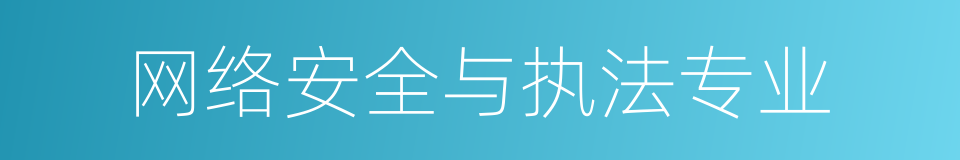 网络安全与执法专业的同义词