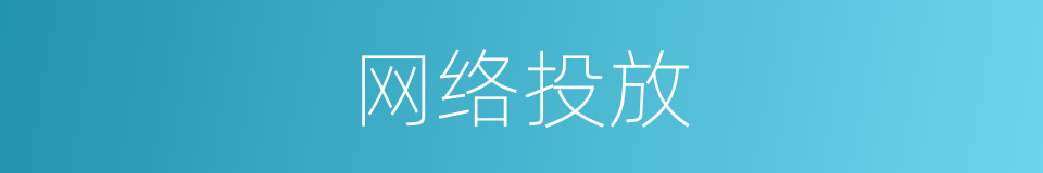 网络投放的同义词
