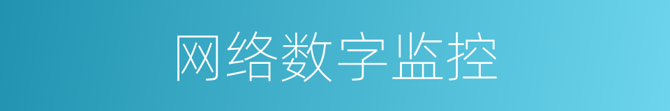 网络数字监控的同义词