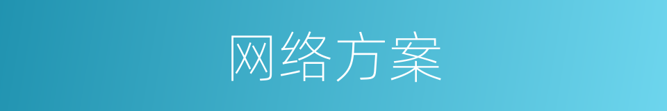 网络方案的同义词