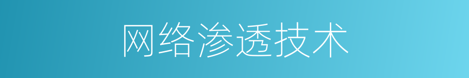 网络渗透技术的同义词
