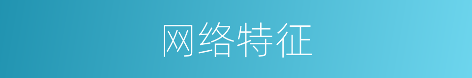 网络特征的同义词