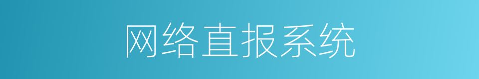 网络直报系统的同义词