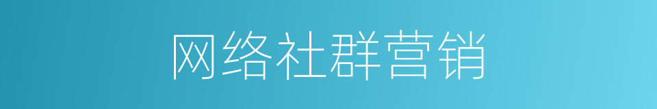 网络社群营销的同义词