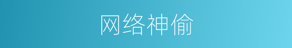 网络神偷的同义词