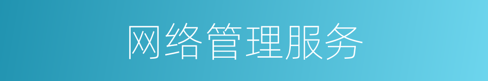 网络管理服务的同义词