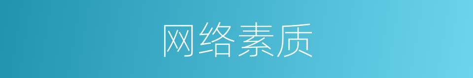 网络素质的同义词
