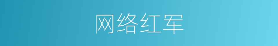 网络红军的同义词