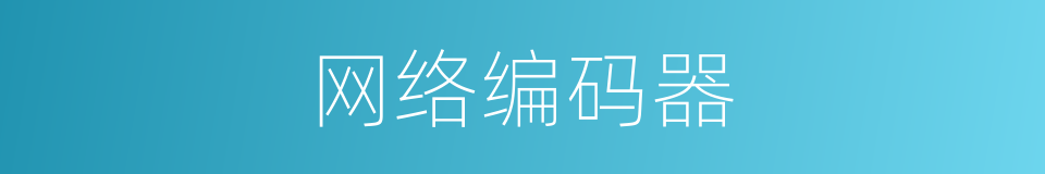 网络编码器的同义词