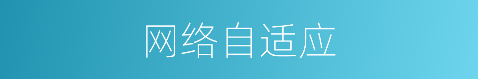 网络自适应的同义词
