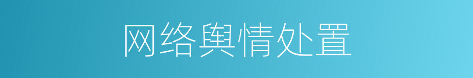 网络舆情处置的同义词