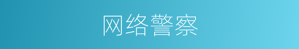 网络警察的意思