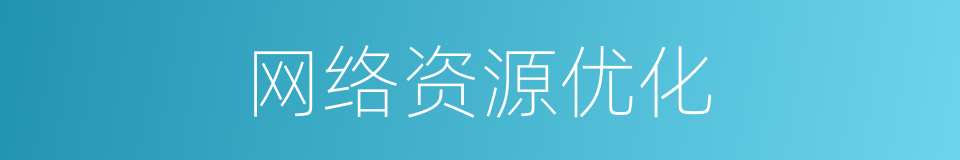 网络资源优化的同义词