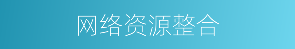 网络资源整合的同义词