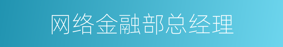 网络金融部总经理的同义词