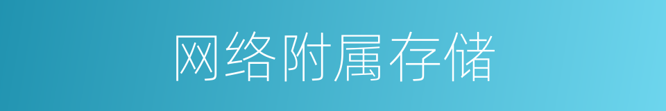 网络附属存储的同义词