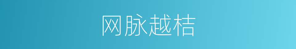 网脉越桔的同义词