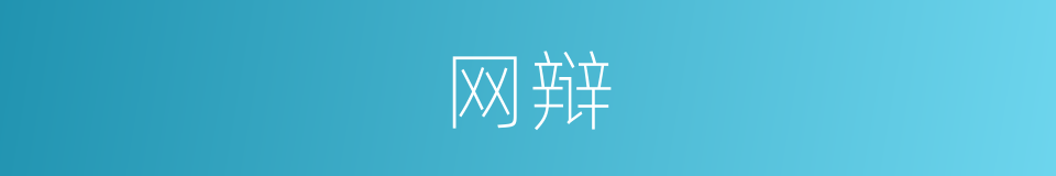 网辩的同义词