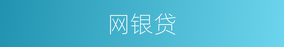 网银贷的同义词