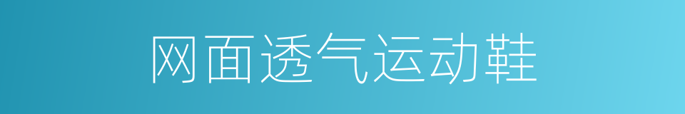 网面透气运动鞋的同义词