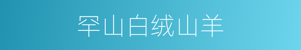 罕山白绒山羊的同义词