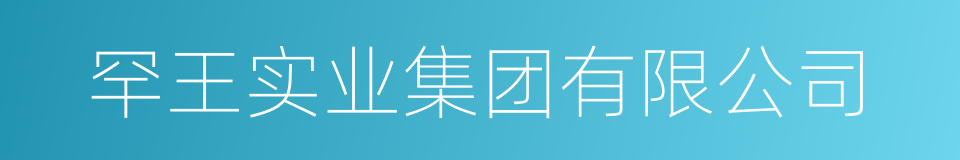 罕王实业集团有限公司的同义词