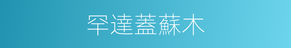 罕達蓋蘇木的同義詞