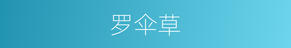 罗伞草的同义词