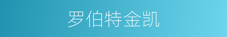 罗伯特金凯的同义词
