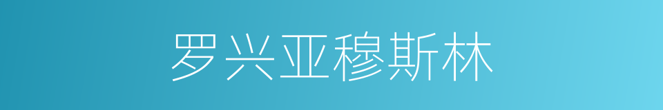 罗兴亚穆斯林的同义词