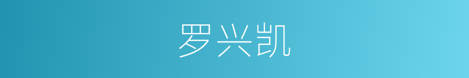 罗兴凯的同义词