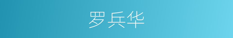 罗兵华的同义词