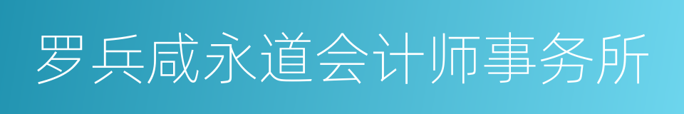 罗兵咸永道会计师事务所的同义词