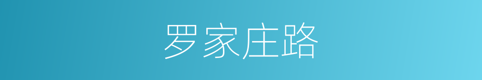 罗家庄路的同义词