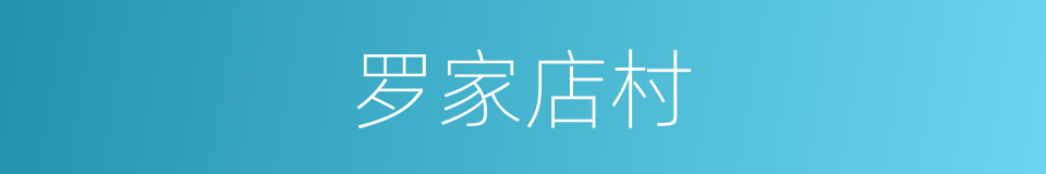罗家店村的同义词