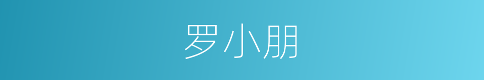 罗小朋的同义词