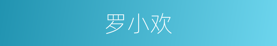 罗小欢的同义词