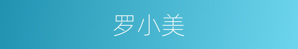 罗小美的同义词