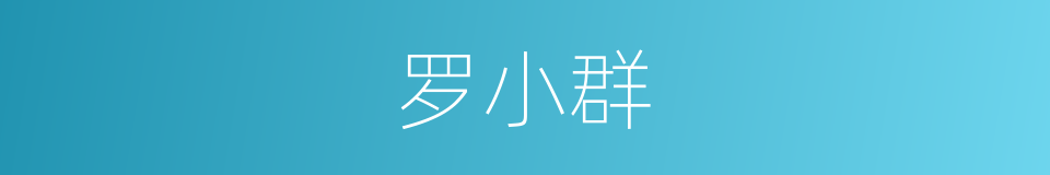罗小群的同义词