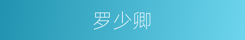 罗少卿的同义词