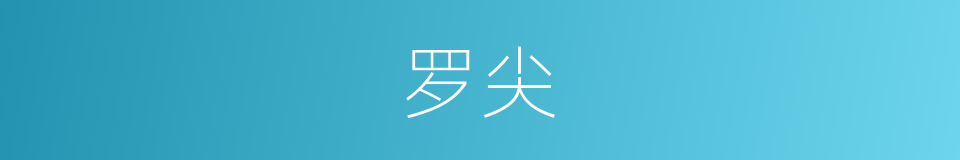 罗尖的同义词