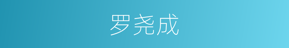 罗尧成的同义词