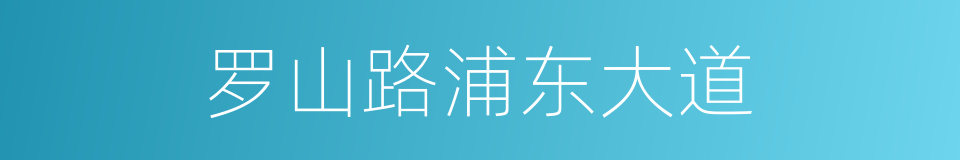 罗山路浦东大道的同义词