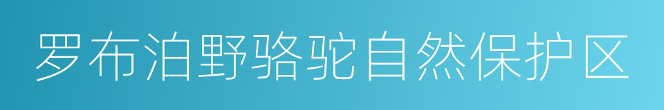 罗布泊野骆驼自然保护区的同义词