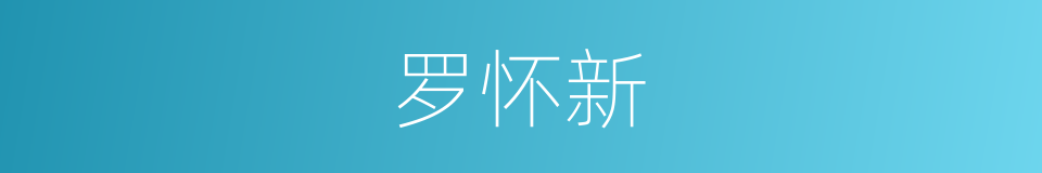 罗怀新的同义词