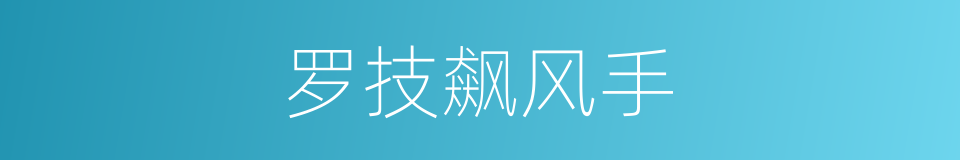 罗技飙风手的同义词