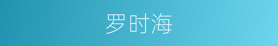 罗时海的同义词