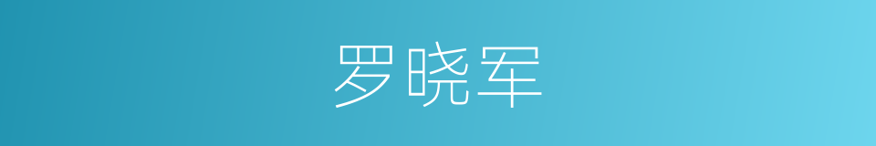 罗晓军的同义词